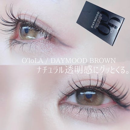 デームードブラウンマンスリー (DAYMOOD BROWN monthly)/OLOLA/1ヶ月(1MONTH)カラコンを使ったクチコミ(1枚目)