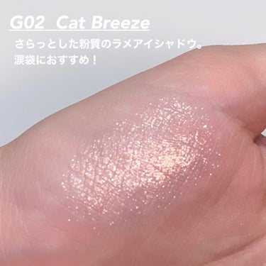 プロ シングル シャドウ G02 CAT BREEZE/CLIO/シングルアイシャドウを使ったクチコミ（2枚目）