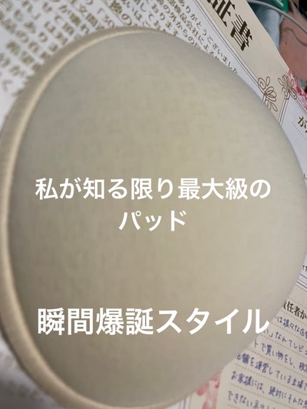 厚手 ブラ替えパッド/fortuna(フォルトゥナ)/その他を使ったクチコミ(1枚目)