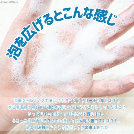 クリスタルホイップ/SHIRORU/泡洗顔を使ったクチコミ(4枚目)