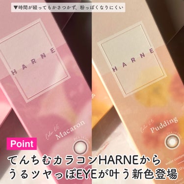 HARNE 1day/HARNE/ワンデー（１DAY）カラコンを使ったクチコミ（3枚目）