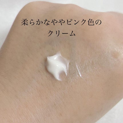 クリーム イン デイ/KANEBO/フェイスクリームを使ったクチコミ(2枚目)