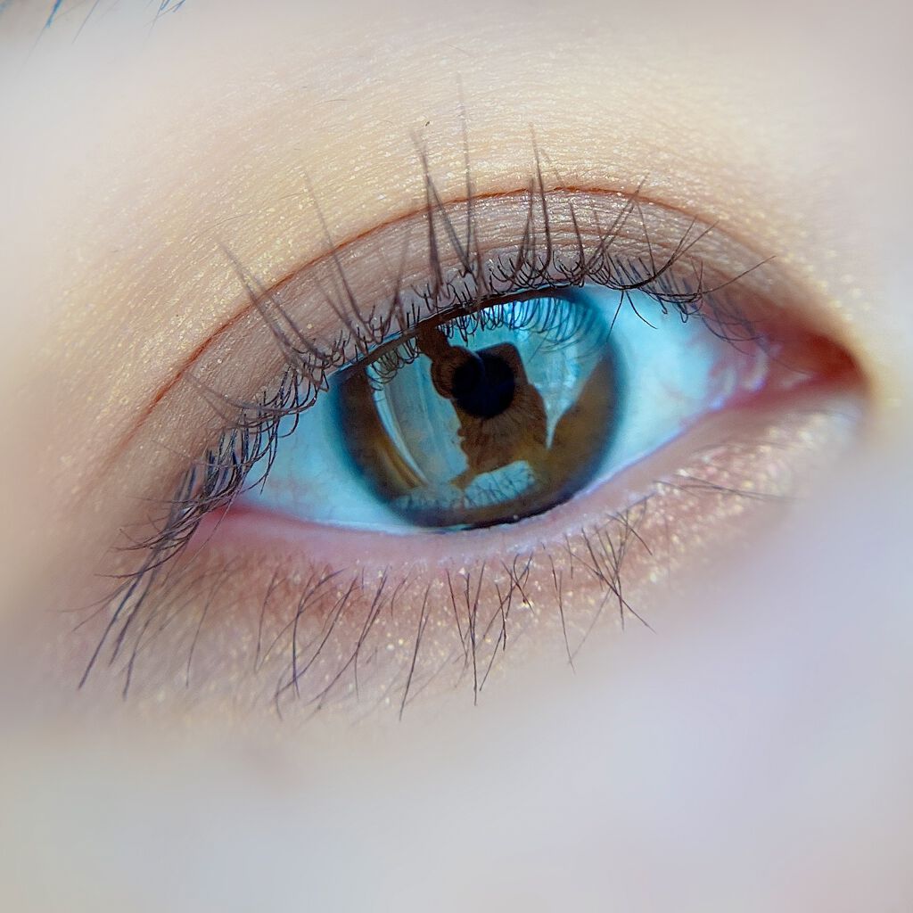 ヴォランタリーベイシス アイパレット/Celvoke/アイシャドウパレットを使ったクチコミ(5枚目)