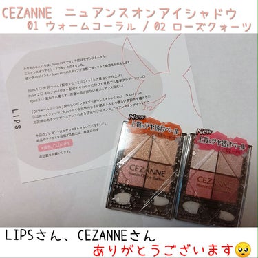 ニュアンスオンアイシャドウ/CEZANNE/アイシャドウパレットを使ったクチコミ（1枚目）