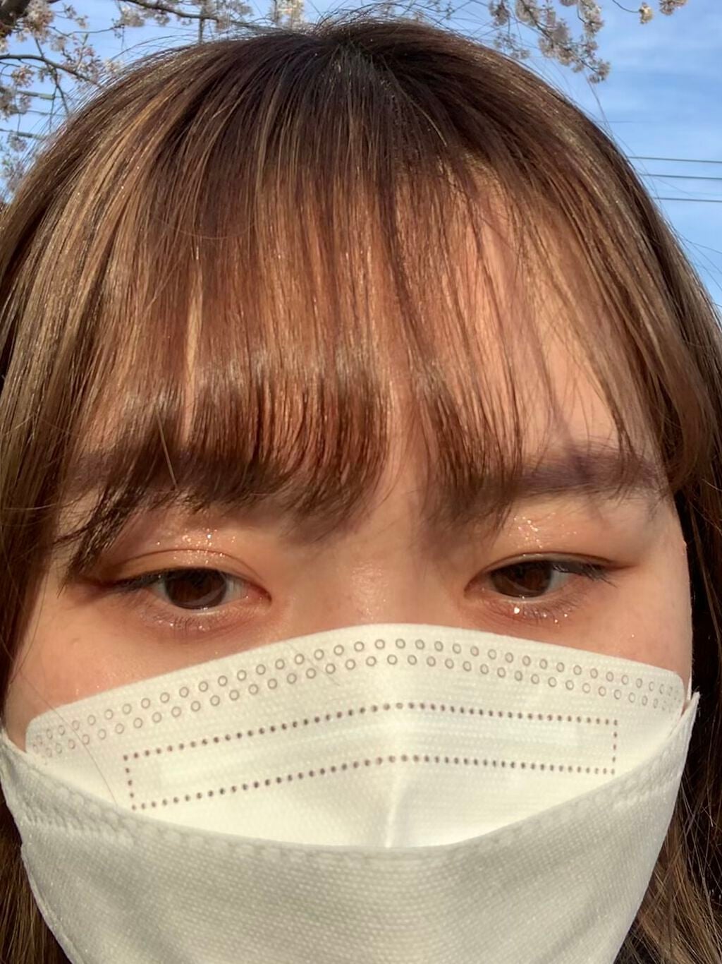 プロ アイパレット ミニ/CLIO/アイシャドウパレットを使ったクチコミ(1枚目)