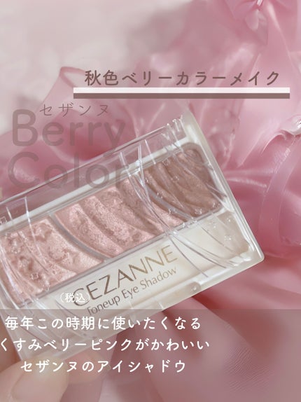 トーンアップアイシャドウ/CEZANNE/アイシャドウパレットを使ったクチコミ(1枚目)