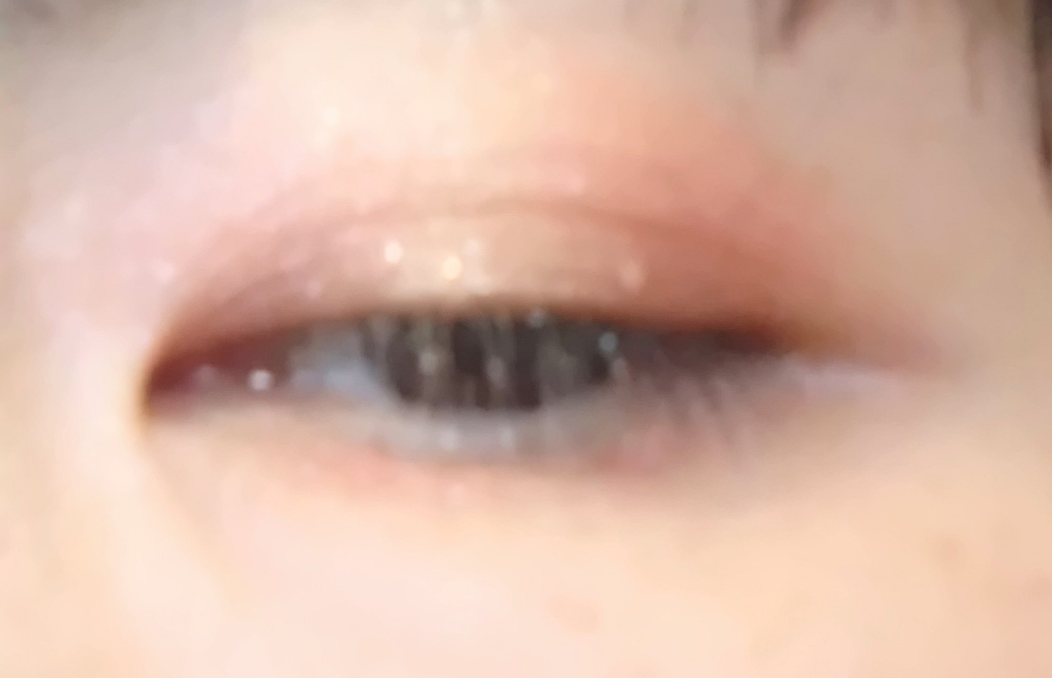 2024 ホリデーコフレ/エトヴォス/メイクアップキットを使ったクチコミ（2枚目）