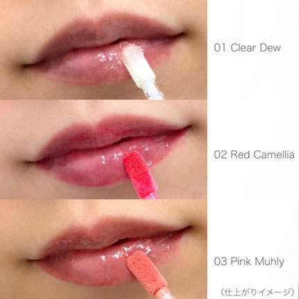 ナチュラルブルームリップオイルセラム 3色セット/PINATE/リップグロスを使ったクチコミ(7枚目)