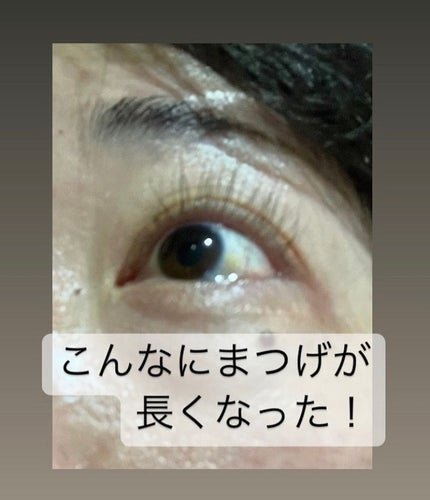 コスノリ アイラッシュティンティングセラム/COSNORI/まつげ美容液を使ったクチコミ(3枚目)