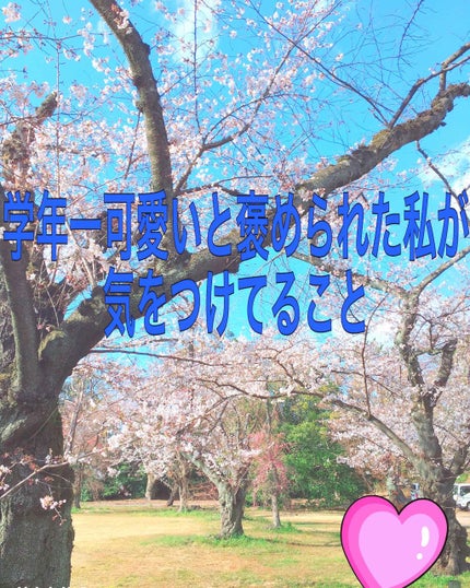 ハトムギ化粧水(ナチュリエ スキンコンディショナー R )/ナチュリエ/化粧水を使ったクチコミ(1枚目)