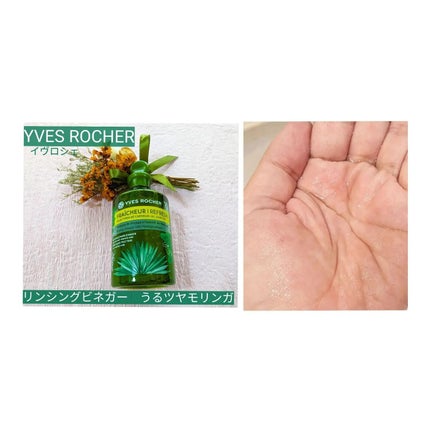 リンシングビネガー ピュアリフレッシュ うるツヤモリンガ /イヴ・ロシェ/洗い流すヘアトリートメントを使ったクチコミ(6枚目)