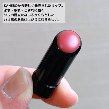 ルージュスターヴァイブラント/KANEBO/口紅を使ったクチコミ(3枚目)