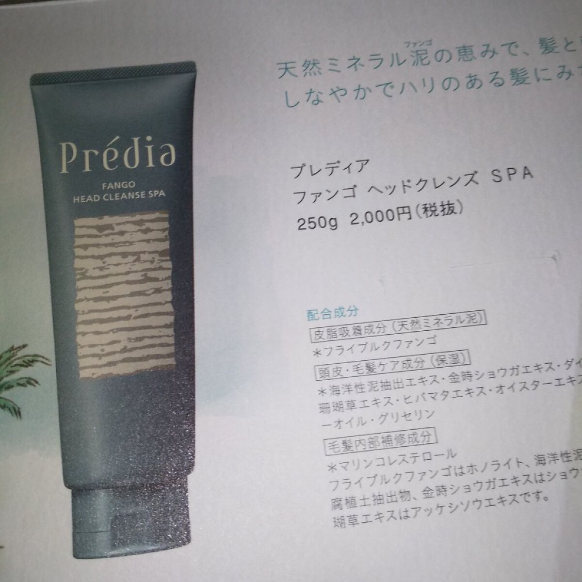 ファンゴ ヘッドクレンズ SPA/Prédia/頭皮クレンジングを使ったクチコミ（2枚目）