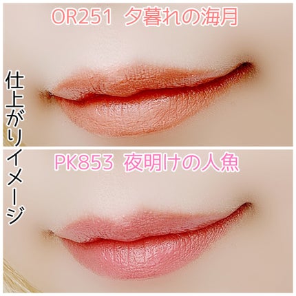 ネンマクフェイク ルージュ/Visée/口紅を使ったクチコミ(10枚目)