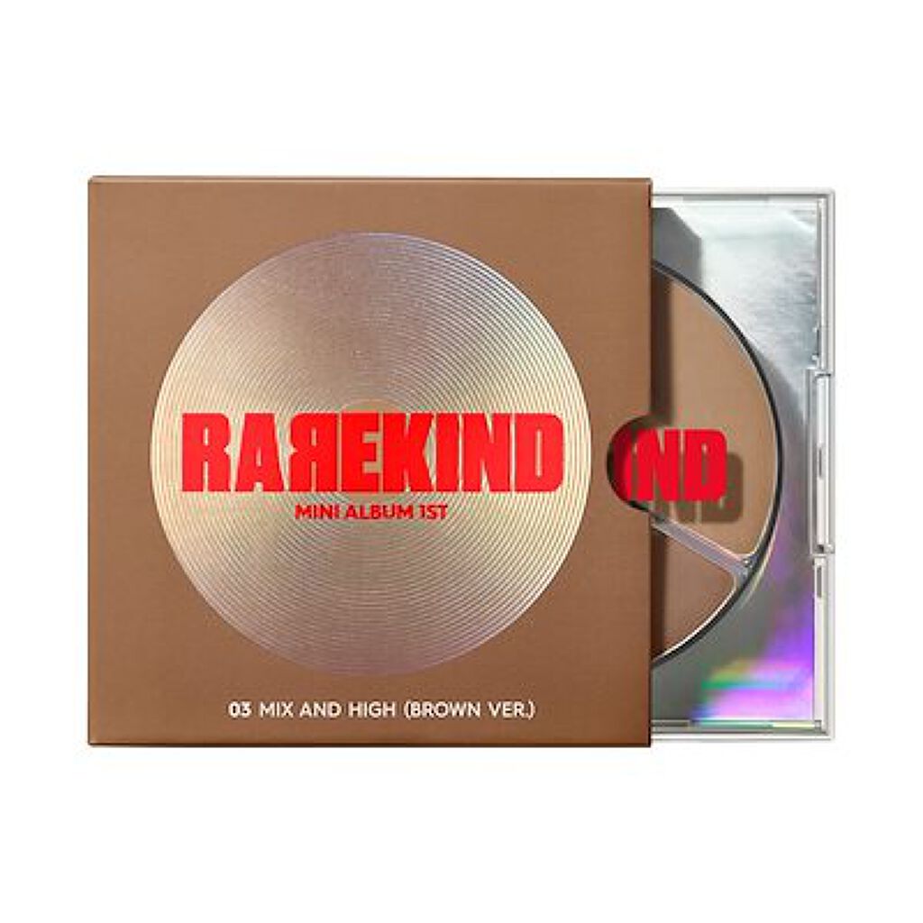 ミニアルバム 1ST 03 ミックス&ハイ ブラウン ver