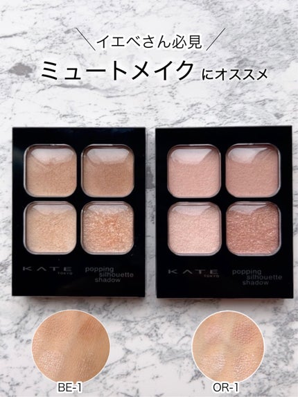 ケイト ポッピングシルエットシャドウ/KATE/アイシャドウパレットを使ったクチコミ(1枚目)
