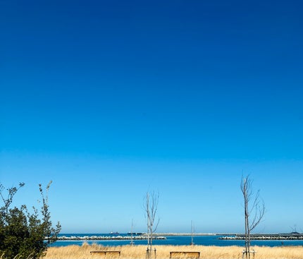 ムードキーボード/lilybyred/アイシャドウパレットを使ったクチコミ(6枚目)