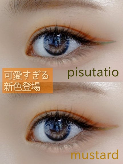 シルキーリキッドアイライナーWP/D-UP/リキッドアイライナーを使ったクチコミ(1枚目)