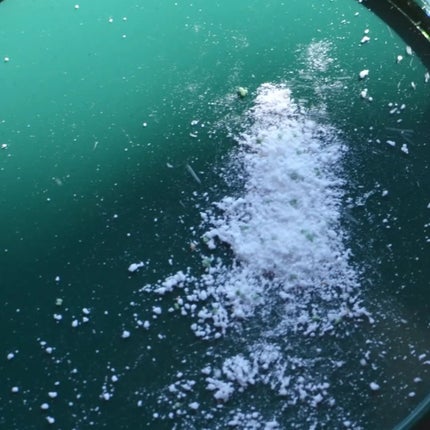 ティーツリーコントロールシカアンプル/PAPA RECIPE/美容液を使ったクチコミ(4枚目)