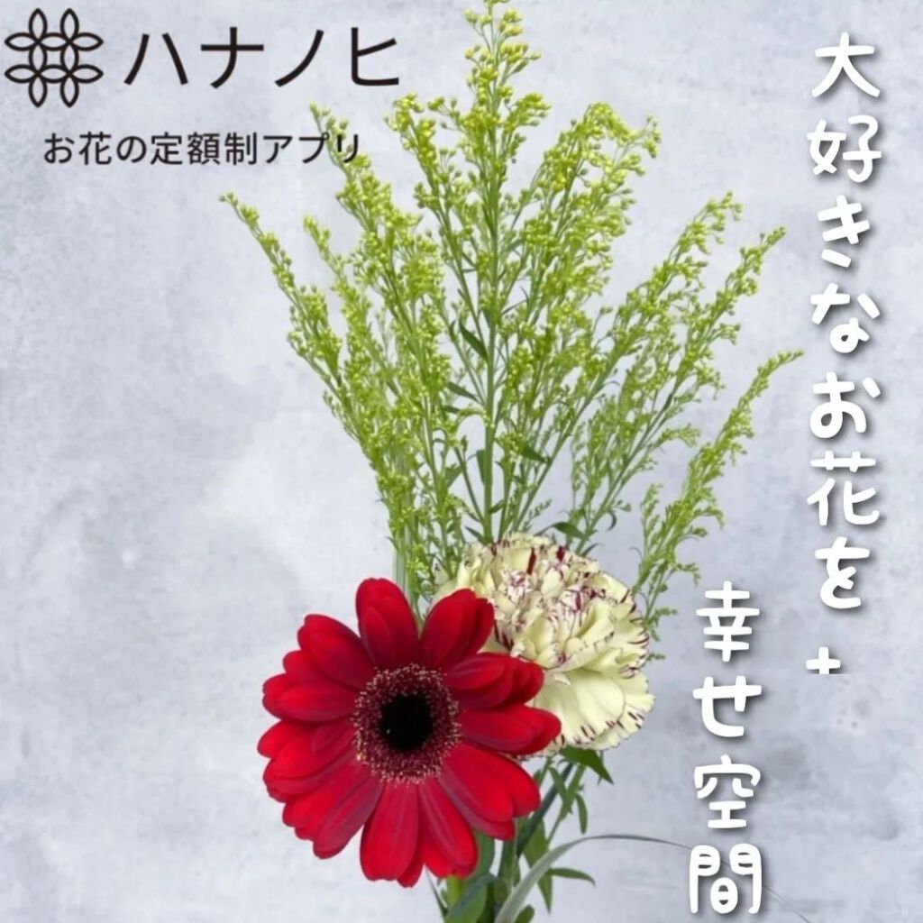 ハナノヒ サブスク/ハナノヒ/その他を使ったクチコミ（1枚目）