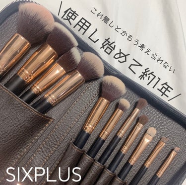 貴族のゴールド メイクブラシ11本セット 化粧ポーチ付き/SIXPLUS/メイクブラシを使ったクチコミ（1枚目）