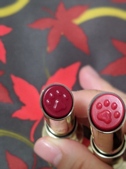 リップスティック ケース N/PAUL & JOE BEAUTE/その他化粧小物を使ったクチコミ(3枚目)