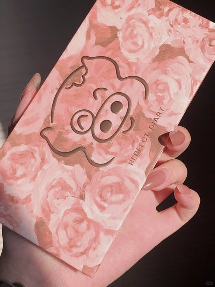 エクスプローラ12色 動物アイシャドウパレット/PERFECT DIARY/アイシャドウパレットを使ったクチコミ(4枚目)