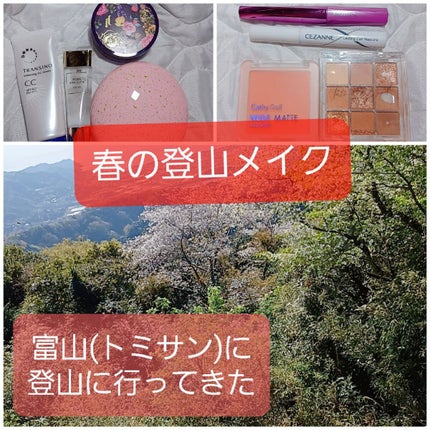 「塗るつけまつげ」自まつげ際立てタイプ/デジャヴュ/マスカラを使ったクチコミ(1枚目)