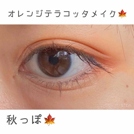 マイクロマスカラ アドバンストフィルム/ヒロインメイク/マスカラを使ったクチコミ(1枚目)