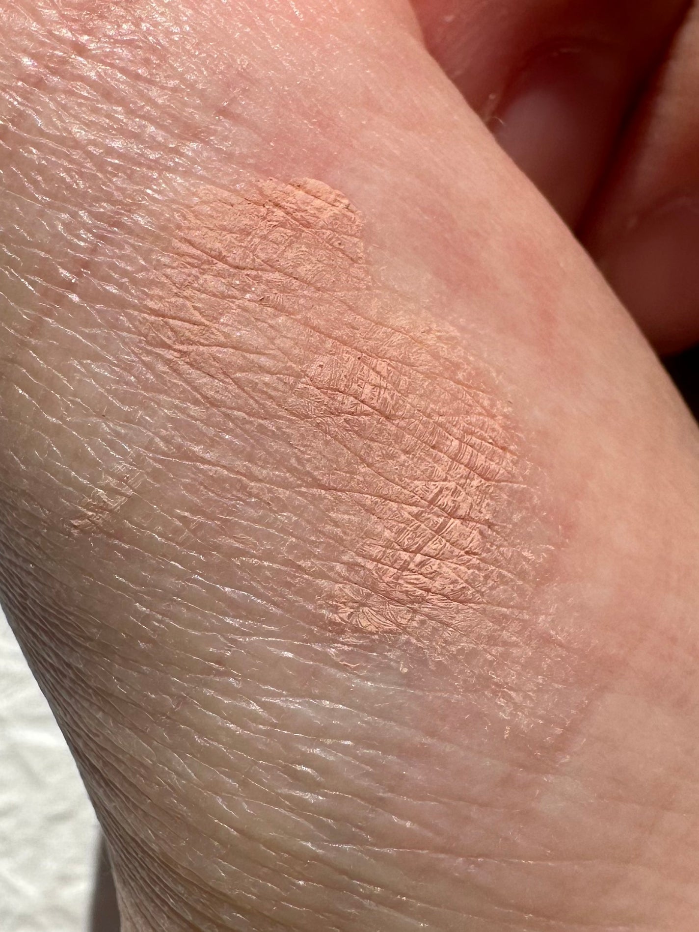 コンシーラーブロウマスカラ/キャンメイク/その他アイブロウを使ったクチコミ(3枚目)