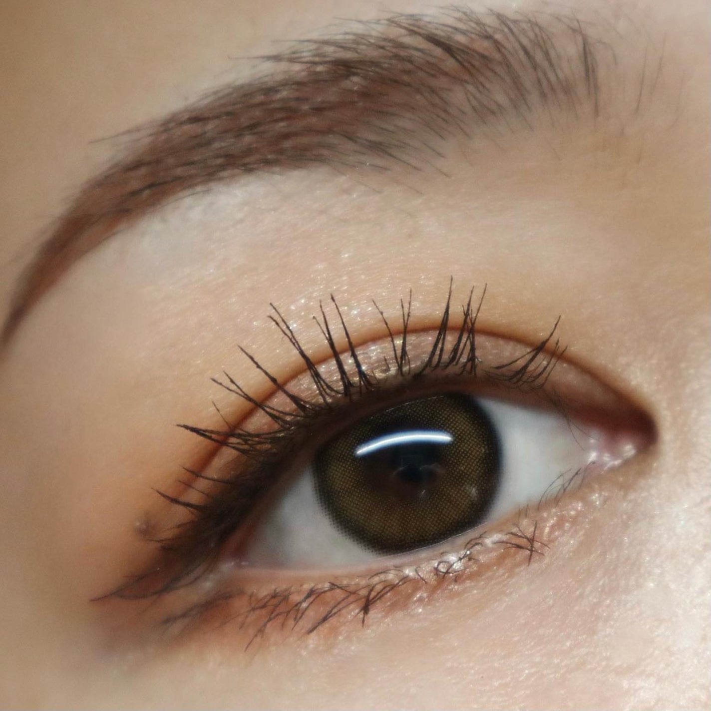 ベージュトーンアイシャドウ/CEZANNE/アイシャドウパレットを使ったクチコミ(7枚目)