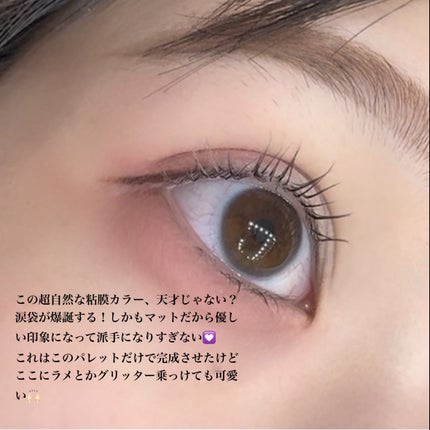 パーフェクトマルチアイズ/キャンメイク/アイシャドウパレットを使ったクチコミ(4枚目)
