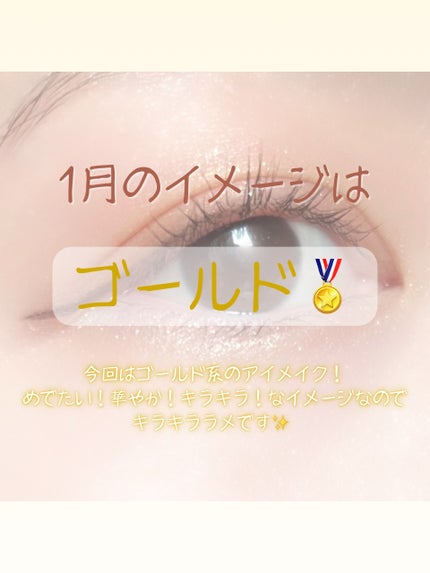 ドレッシーシャドウR/CipiCipi/アイシャドウパレットを使ったクチコミ(2枚目)