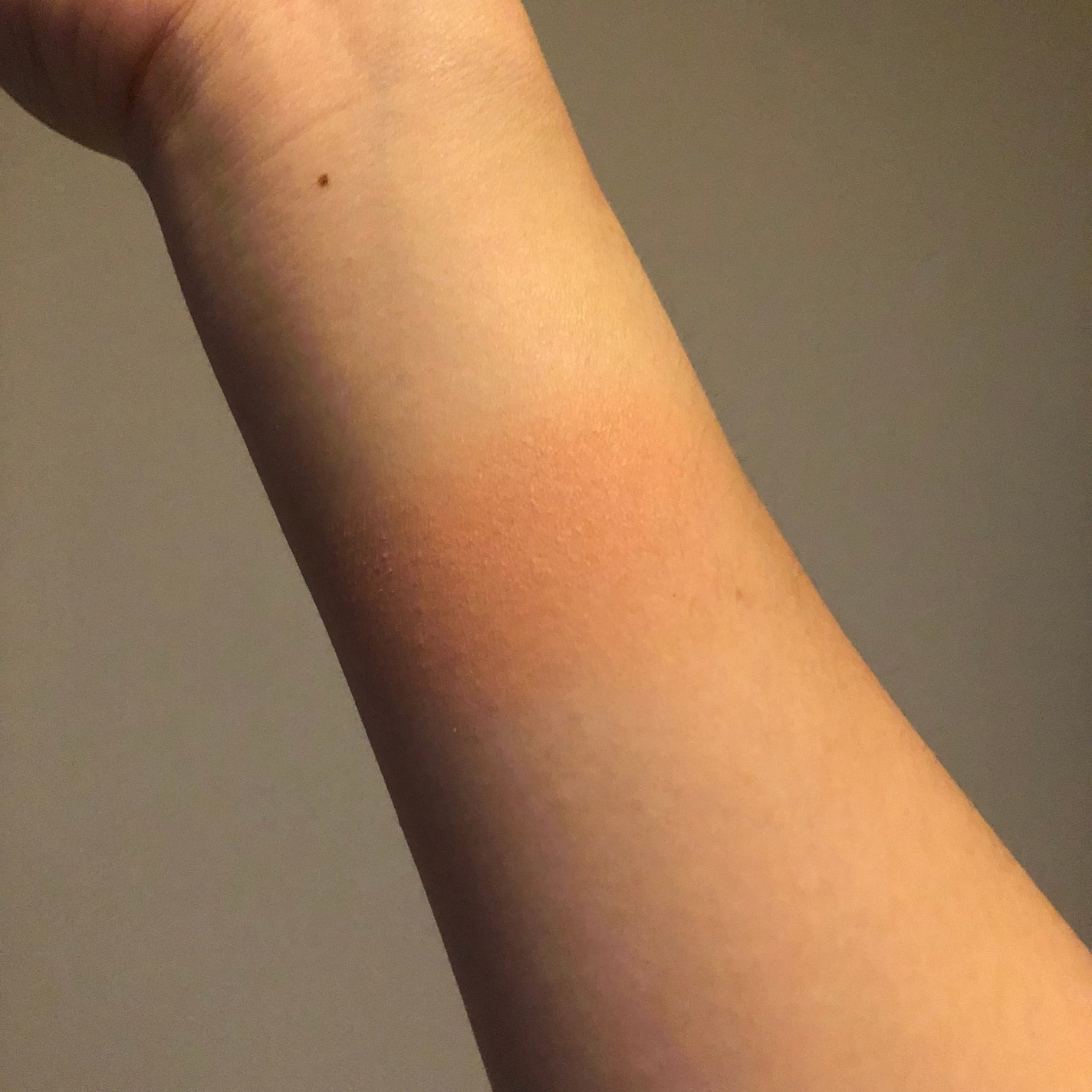 ピュアブラッシャー パフ付き/フォレンコス/パウダーチークを使ったクチコミ(3枚目)