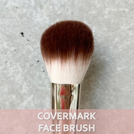 カバーマーク ライティング カラー パウダー/COVERMARK/パウダーチークを使ったクチコミ(6枚目)