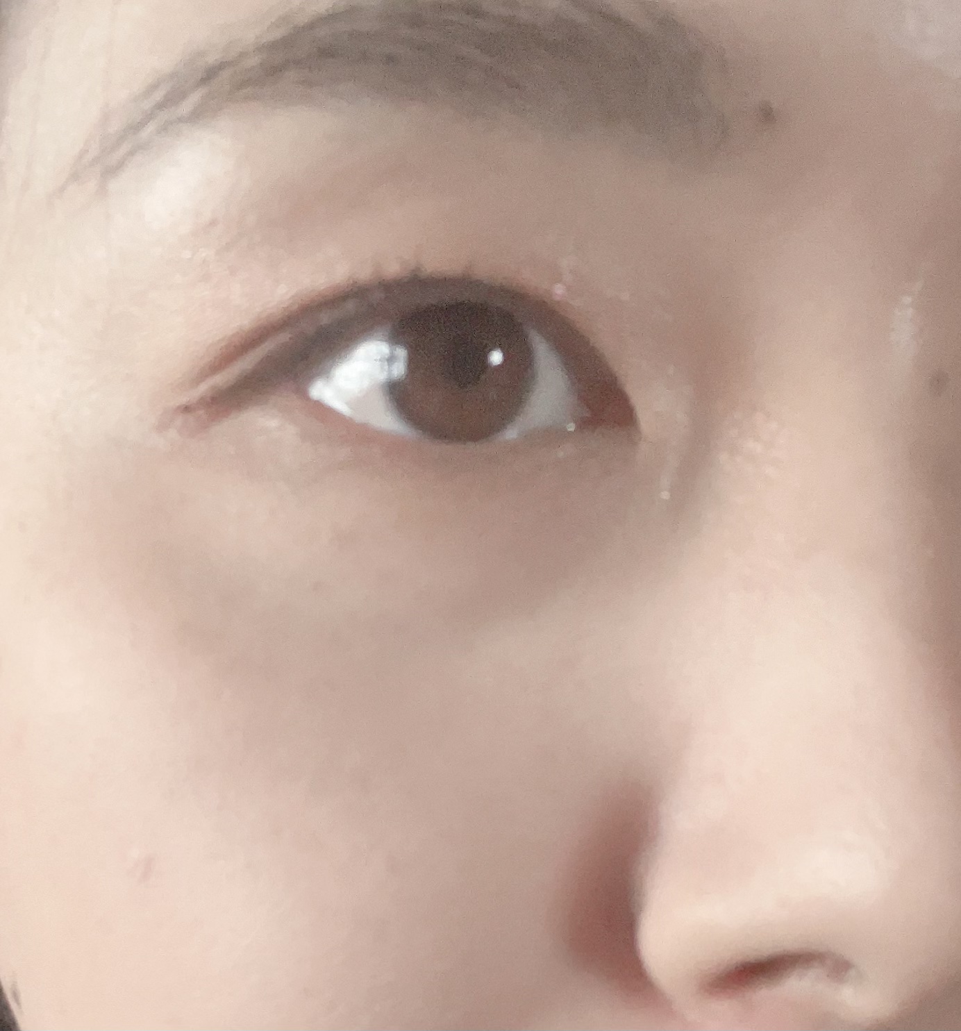 プロテクティング フェイス パウダー/PAUL & JOE BEAUTE/プレストパウダーを使ったクチコミ（3枚目）