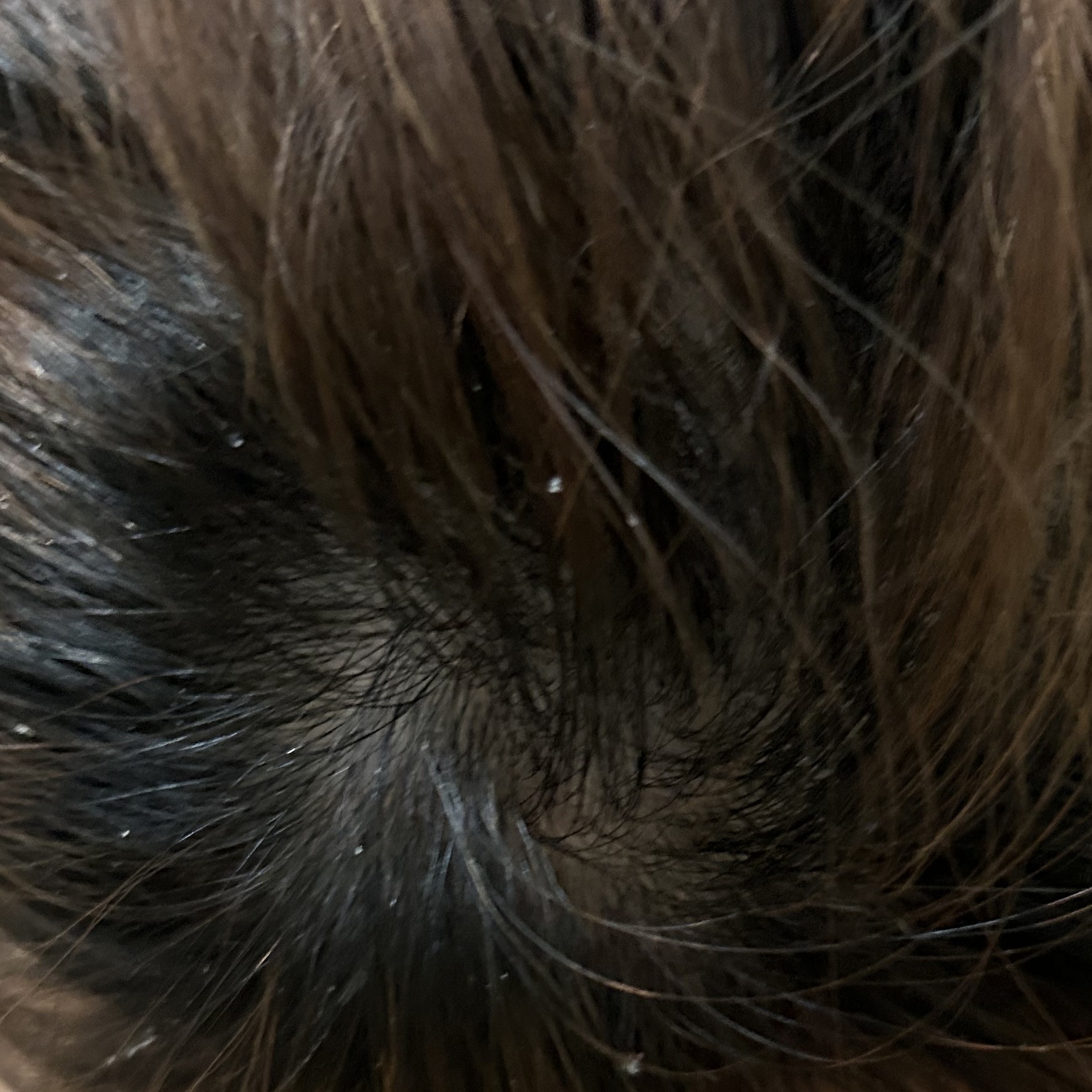 プレミアム ボンドメンテシャンプー／ボンドメンテトリートメント シャンプー本体 460ml/IONICO/市販シャンプーを使ったクチコミ（2枚目）