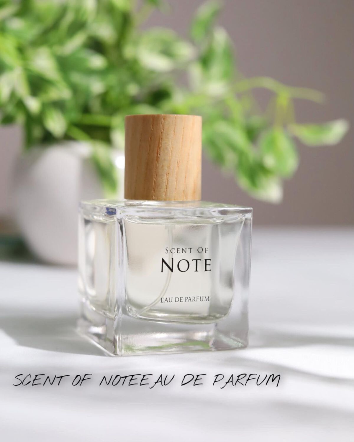 SCENT OF NOTEオードパルファム/SCENT OF NOTE/香水(その他)を使ったクチコミ(1枚目)