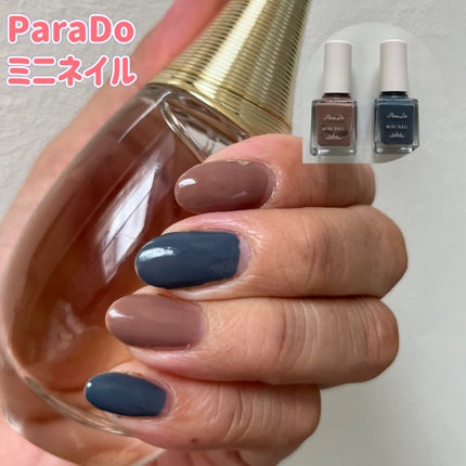 ミニネイル BR03 クラッシーキャラメル/パラドゥ/マニキュアを使ったクチコミ(1枚目)