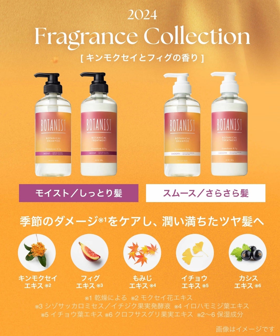 ボタニカルシャンプー/トリートメント キンモクセイ&フィグの香り(モイスト)/BOTANIST/市販シャンプーを使ったクチコミ(5枚目)