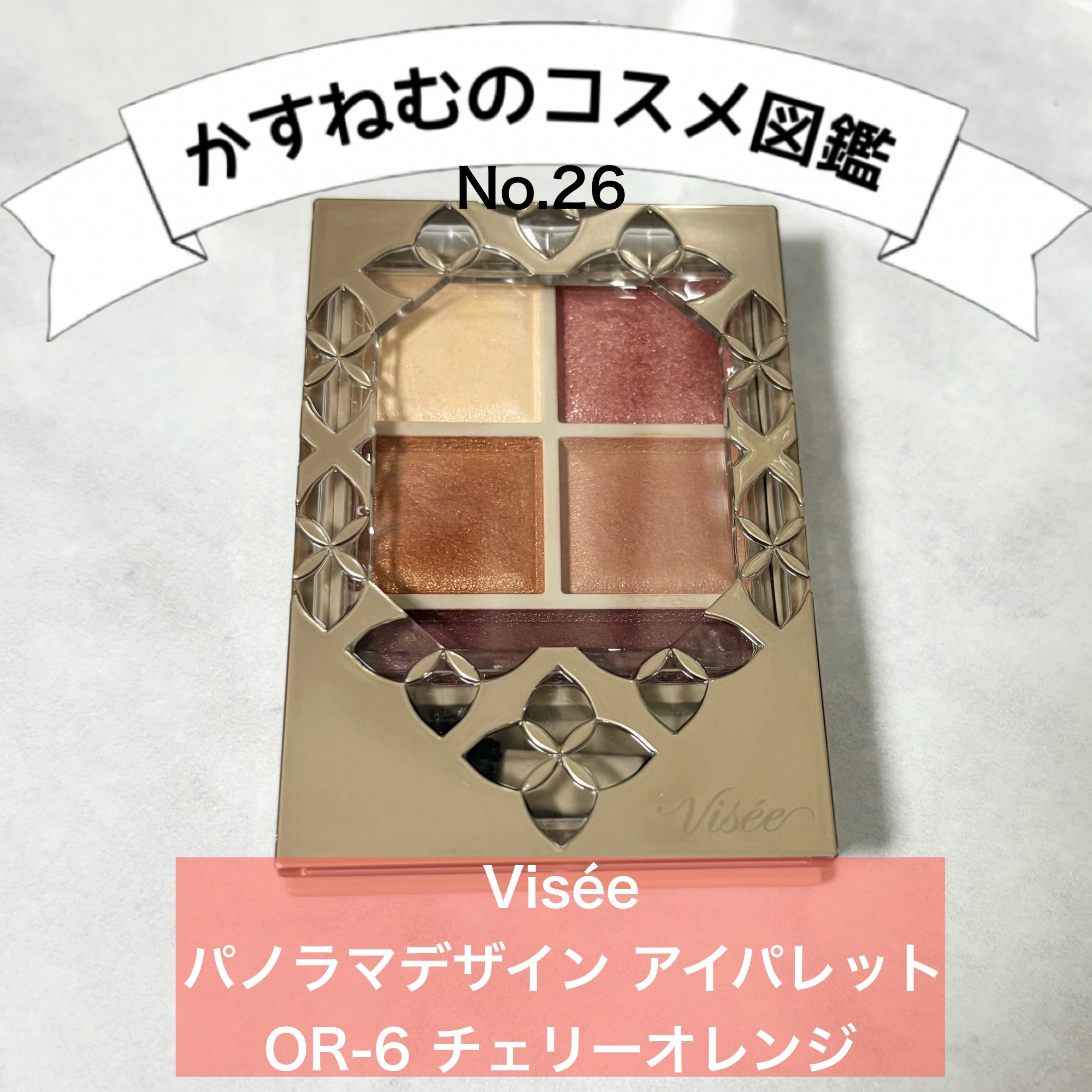 パノラマデザイン アイパレット/Visée/アイシャドウパレットを使ったクチコミ（1枚目）