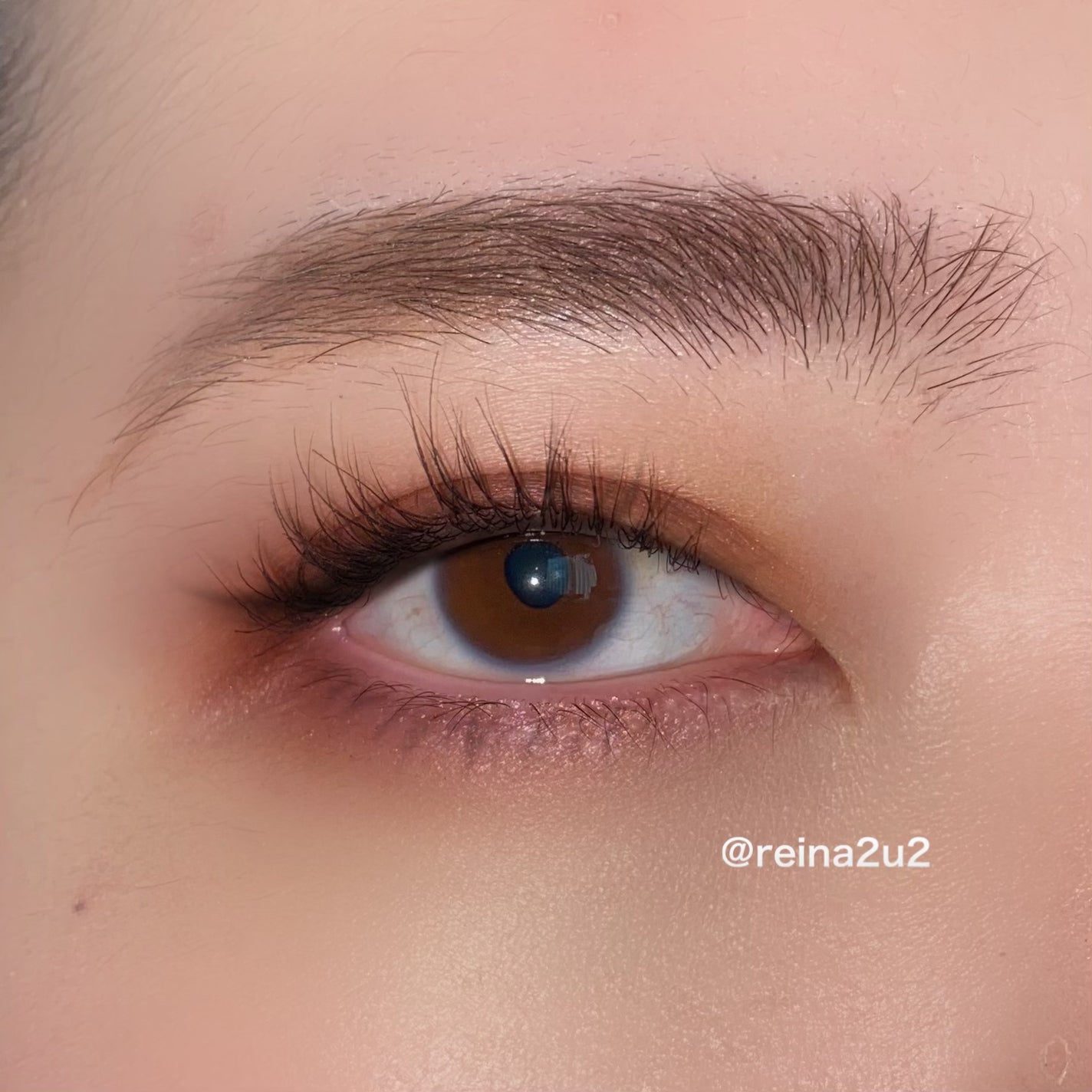 グラデーション アイシャドウ/ちふれ/アイシャドウパレットを使ったクチコミ(3枚目)