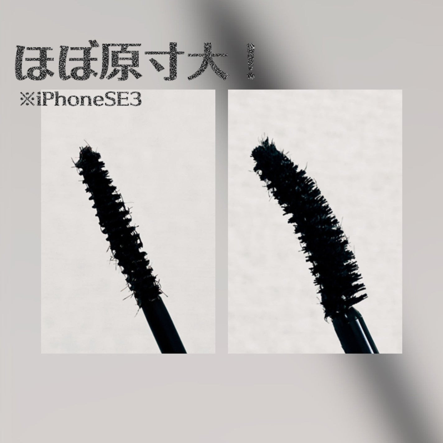 パーマネントカール フィクサー WP/FASIO/マスカラ下地を使ったクチコミ(2枚目)