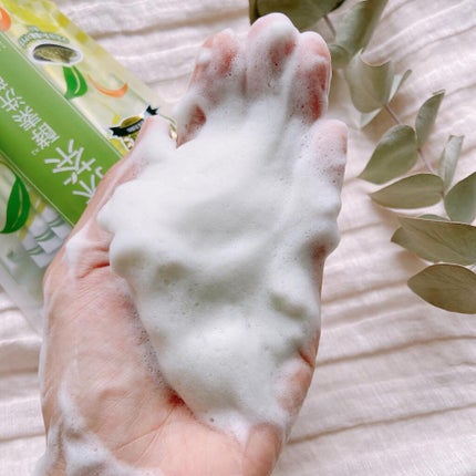 ワフードメイド 宇治抹茶酵素洗顔/pdc/洗顔パウダーを使ったクチコミ(4枚目)