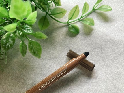 クリーミーアイペンシルEX/サナ ニューボーン/ペンシルアイライナーを使ったクチコミ(3枚目)