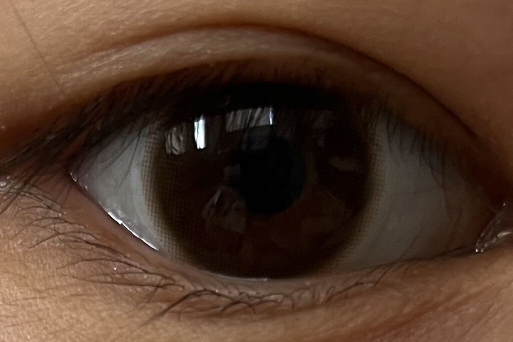 MOLAK 1month ティントブラウン/MOLAK/１ヶ月（１MONTH）カラコンを使ったクチコミ（2枚目）