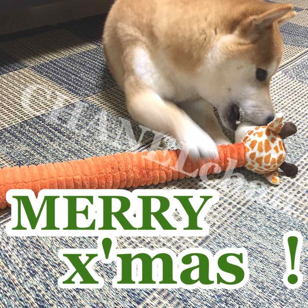 ヘアマスク ヘアリペア/ellips/ヘアマスク・ヘアパックを使ったクチコミ（2枚目）