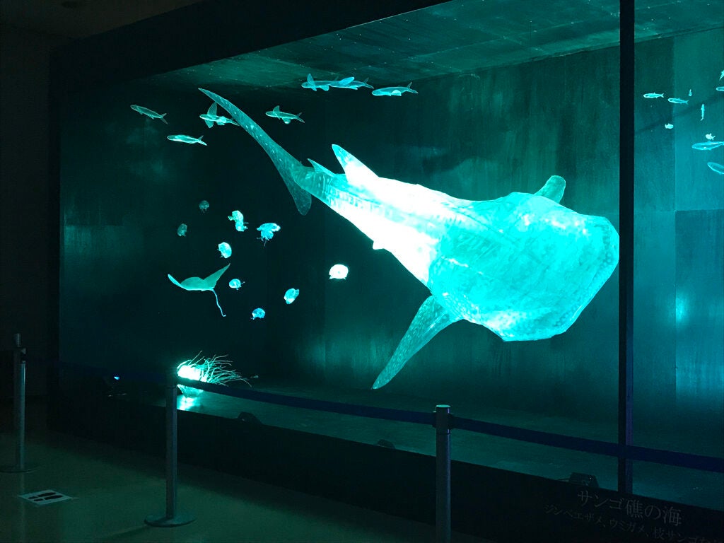 クリア マスカラR/CEZANNE/マスカラ下地を使ったクチコミ(5枚目)