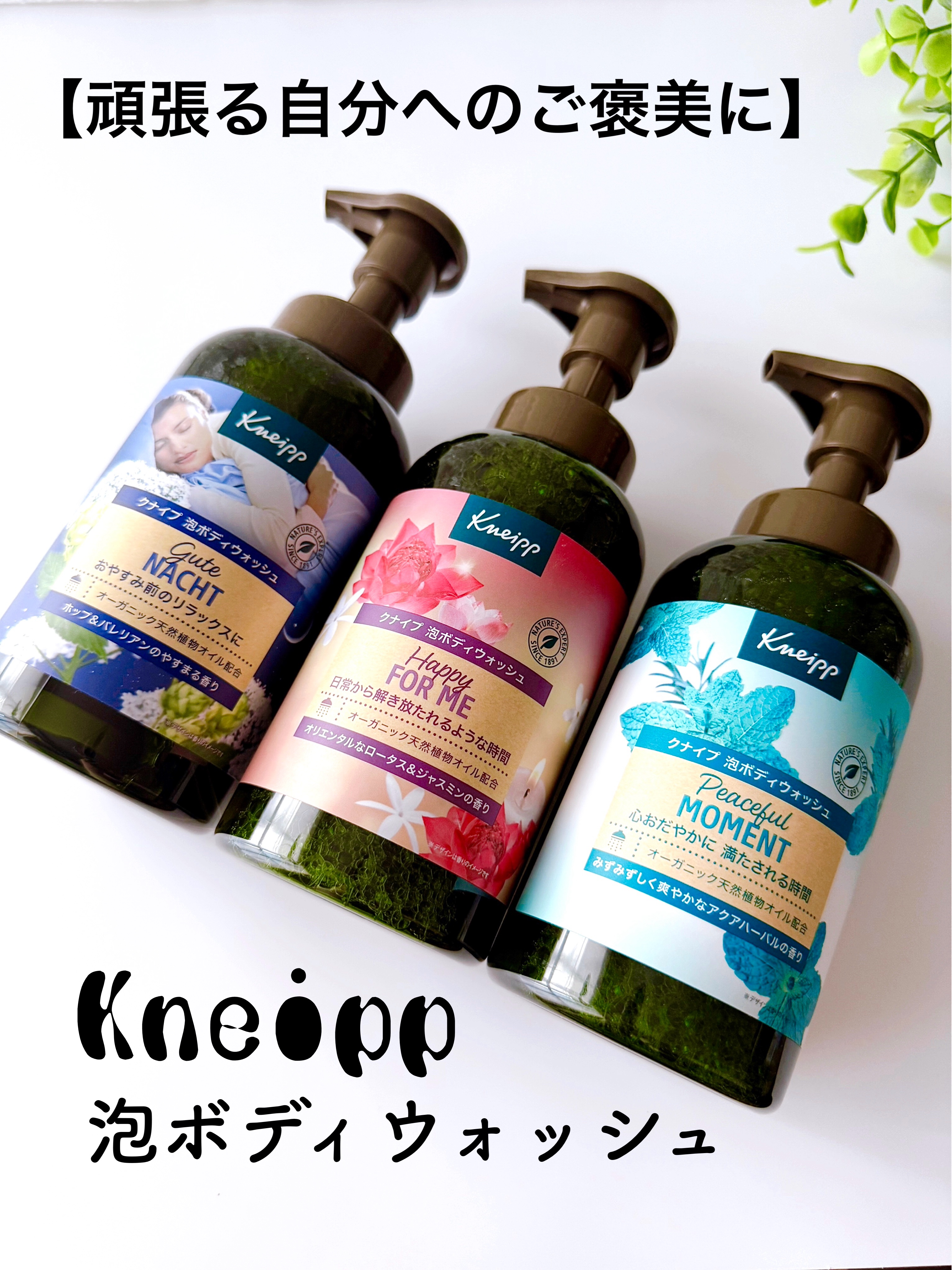 クナイプ 泡ボディウォッシュ グーテナハト ホップ&バレリアンの香り/クナイプ/ボディソープを使ったクチコミ（3枚目）