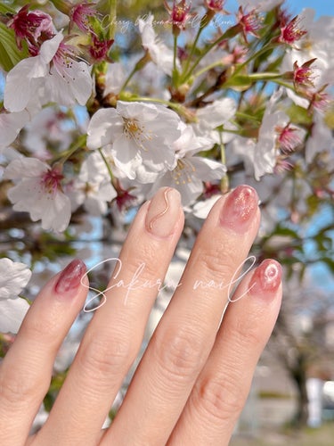 #春ネイル,#セルフネイル,#ジェルネイル,#ニュアンスネイル,#桜ネイルのネイルデザイン